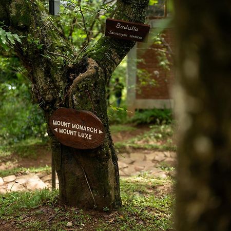 Treehouse Chalets - Luxury Getaway Within A Short Distance Of Ella 贝里胡罗亚 外观 照片