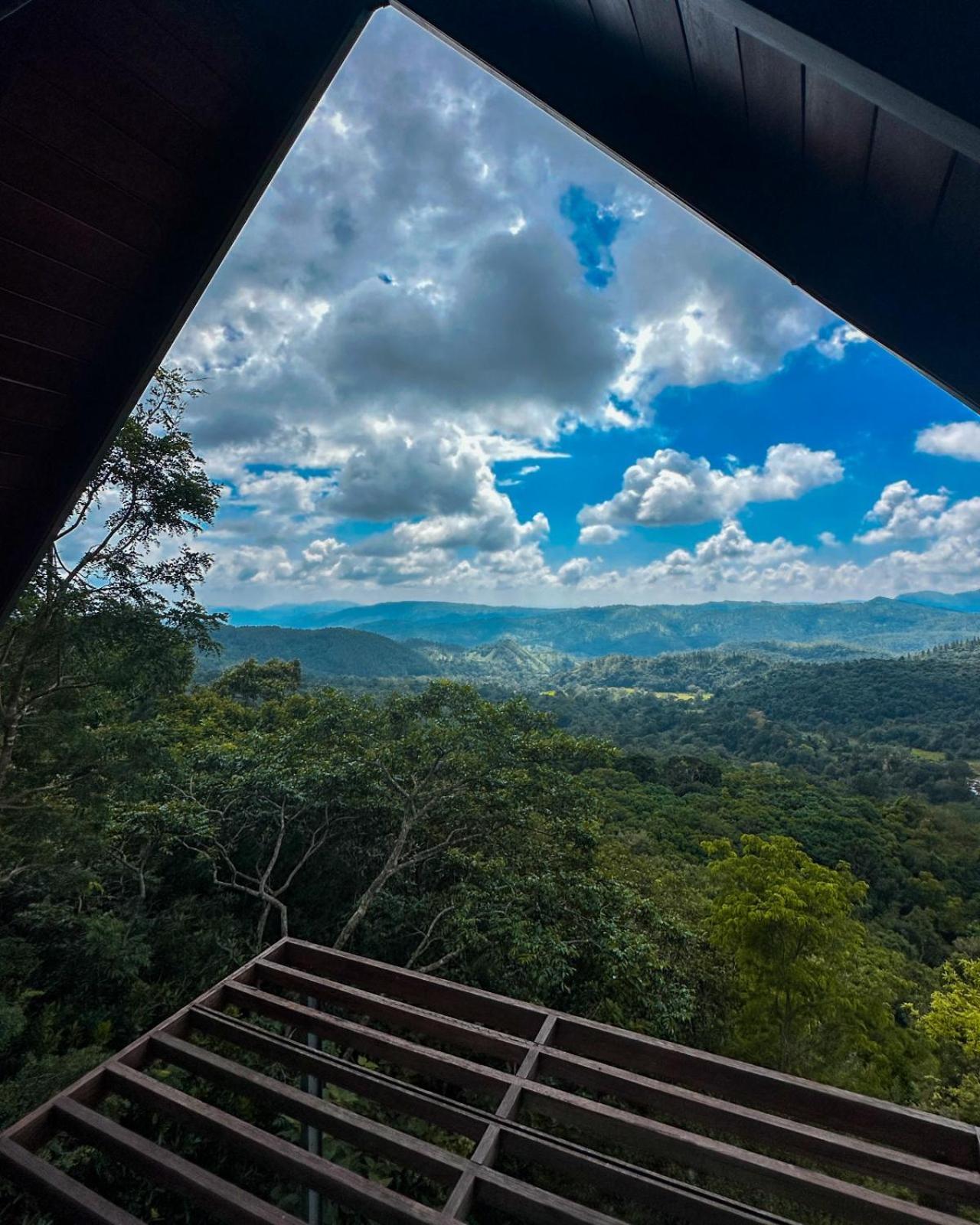Treehouse Chalets - Luxury Getaway Within A Short Distance Of Ella 贝里胡罗亚 外观 照片