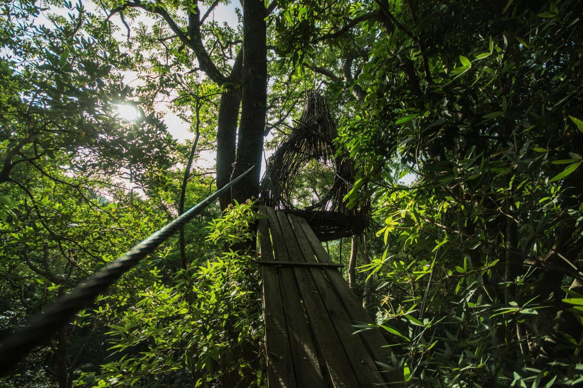 Treehouse Chalets - Luxury Getaway Within A Short Distance Of Ella 贝里胡罗亚 外观 照片