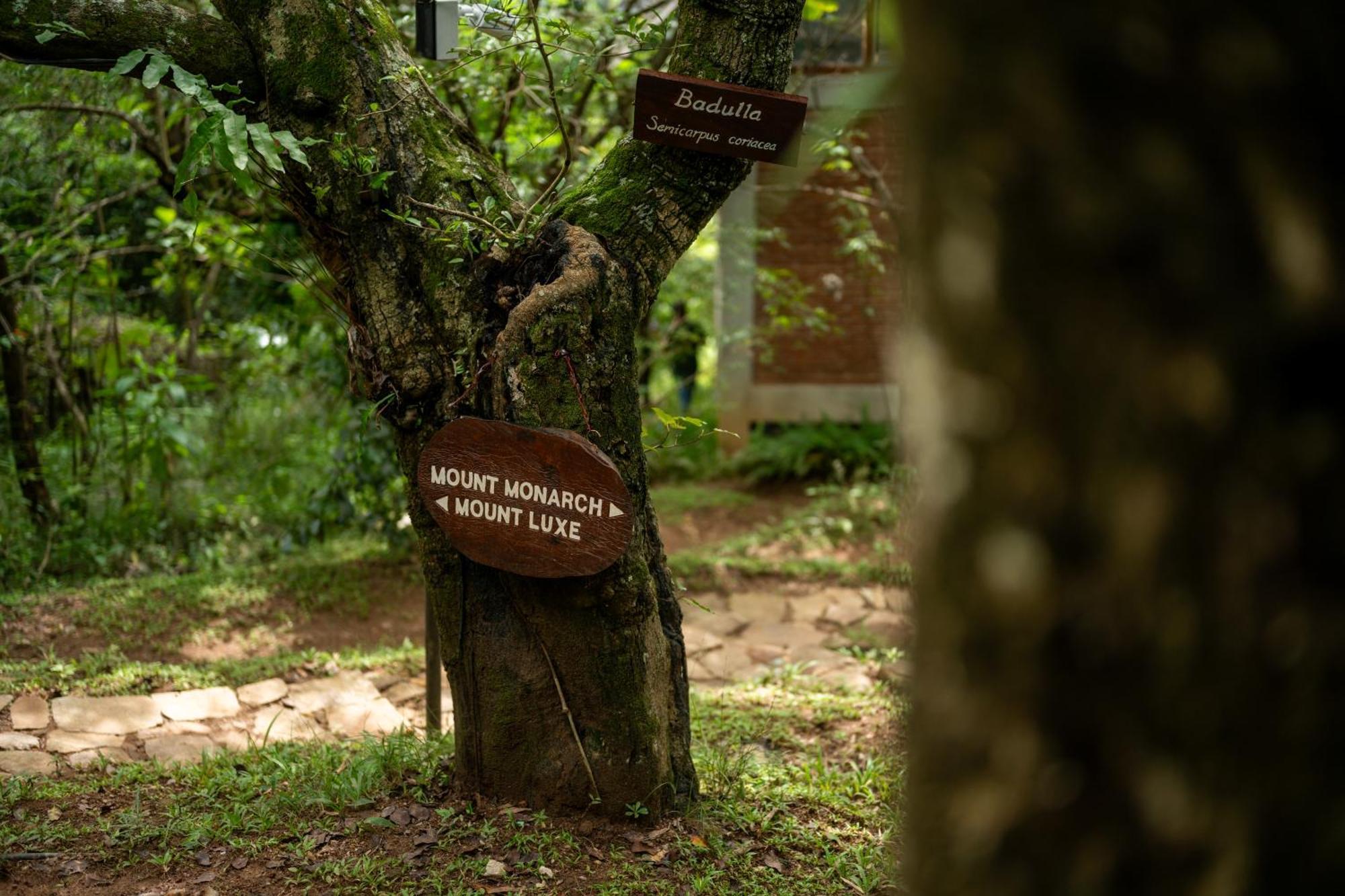 Treehouse Chalets - Luxury Getaway Within A Short Distance Of Ella 贝里胡罗亚 外观 照片