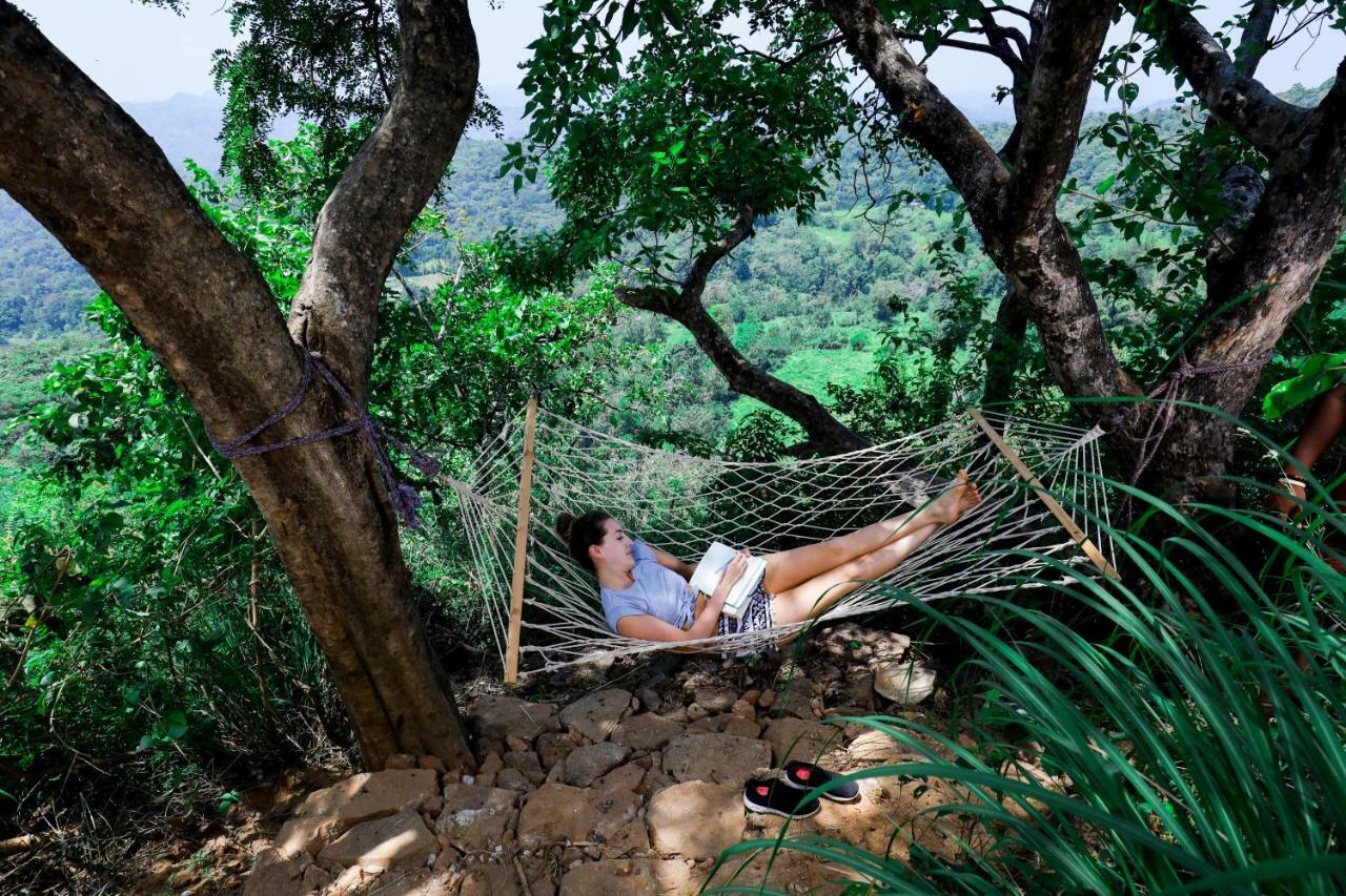 Treehouse Chalets - Luxury Getaway Within A Short Distance Of Ella 贝里胡罗亚 外观 照片